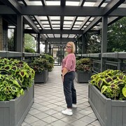 ���������� ��������������, ���� ������� �������, 51 ���, ������������ ��� c�������� ���������