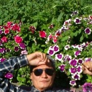 ���������� ������, ���� ������� �����, 47 ���, ������������ ��� ����� � ���������, c�������� ���������