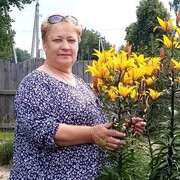  ,   , 61 ,   c , 
