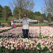 ���������� �����, ���� ������� ������, 60 ���, ������������ ��� ����� � ���������, c�������� ���������