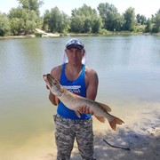 ���������� ������, ���� ������� �������, 45 ���, ������������ ��� ������, ����� � ���������, c�������� ���������