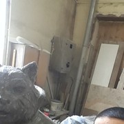  ,   , 41 ,     , c 
