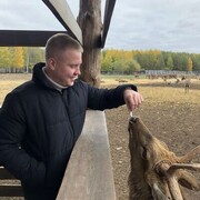 ���������� ������, ���� ������� ������, 28 ���, ������������ ��� ������, ����� � ���������, c�������� ���������, ���������