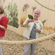 ���������� ��������, ���� ������� �������, 62 ����, ������������ ��� ������, ����� � ���������