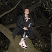 ���������� ������, ���� ����� ����, 24 ����, ������������ ��� ������, ����� � ���������