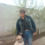  ,   , 63 ,   ,   , c 