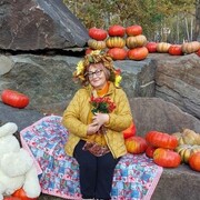 ���������� �������, ���� ������� �����, 66 ���, ������������ ��� ����� � ���������, c�������� ���������