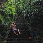 ���������� ������-��-����, ���� ������� �������, 36 ���, ������������ ��� ������, ����� � ���������, c�������� ���������