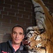 ���������� ���������, ���� ������� ������, 55 ���, ������������ ��� ������, ����� � ���������, c�������� ���������