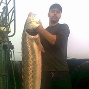 ���������� ��������, ���� ������� ����, 46 ���, ������������ ��� ������, ���������