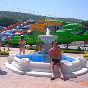  ,   Vitoss, 41 ,   ,   , c 