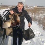 ���������� ���������, ���� ������� ��������, 41 ���, ������������ ��� ����� � ���������, c�������� ���������