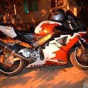 ���������� �������, ���� ������� �������, 37 ���, ������������ 