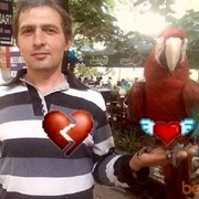  ,   Ivashka_safr, 43 ,   