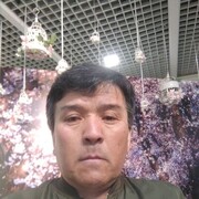   ,   , 58 ,   ,   