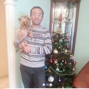 ���������� ������, ���� ������� ˸��, 57 ���, ������������ ��� ����� � ���������, c�������� ���������