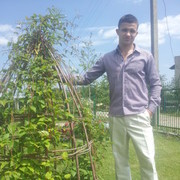 ���������� �����, ���� ������� Brus, 31 ���, ������������ ��� ������, ����� � ���������, c�������� ���������