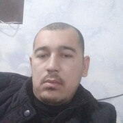  ,   Fedon, 33 ,   ,   