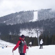  ,   , 53 ,   