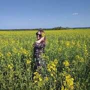 ���������� �����, ���� ������� ����, 38 ���, ������������ ��� c�������� ���������