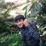  ,    98, 33 ,   