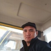 ���������� ������, ���� ������� ������, 31 ���, ������������ ��� ������, ����� � ���������, c�������� ���������, ���������