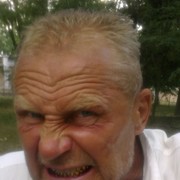  ,   Assboss, 76 ,   