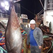 ���������� �����-���������, ���� ������� Tiger, 39 ���, ������������ ��� ������, ����� � ���������, ���������