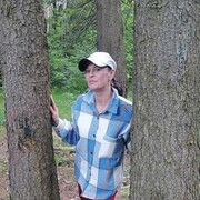 ���������� ������, ���� ������� �������, 43 ����, ������������ ��� ������, ����� � ���������