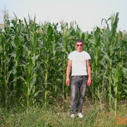  ,   Roma, 39 ,   ,   , c 