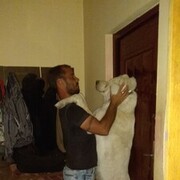  ,   Nik, 38 ,   ,   , c 