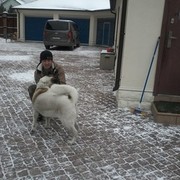  ,   Dima, 40 ,   , 