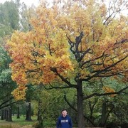 ���������� �����-���������, ���� ����� Javohir, 25 ���, ������������ ��� ������, ����� � ���������, c�������� ���������