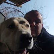 ���������� �������, ���� ������� ������, 44 ����, ������������ ��� ����� � ���������, c�������� ���������