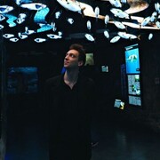 ���������� �����������, ���� ������� ����������, 30 ���, ������������ 