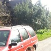 ���������� �������, ���� ������� ����, 28 ���, ������������ ��� ������, ����� � ���������, c�������� ���������