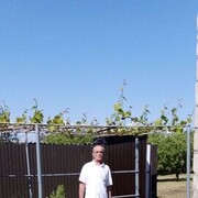  ,   , 63 ,   ,   