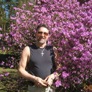 ���������� ����, ���� ������� ALEX, 64 ����, ������������ ��� ������