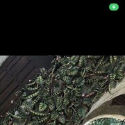  ,   , 41 ,   ,   