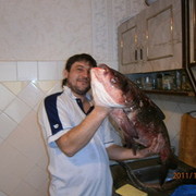  ,   Vova, 47 ,   ,   , c , 