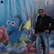  ,   , 43 ,   