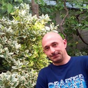  -,   , 46 ,  