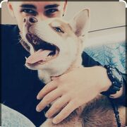 ���������� ������, ���� ������� Shon, 26 ���, ������������ ��� ������, ����� � ���������