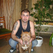  ,   , 41 ,   