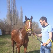 ���������� �������, ���� ������� K Beslan, 36 ���, ������������ ��� ������, ����� � ���������