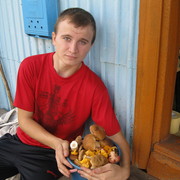 ���������� ������� �����, ���� ������� �������, 32 ����, ������������ ��� ������, ����� � ���������, c�������� ���������