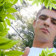 ���������� ��������, ���� ������� ����, 43 ����, ������������ ��� ������, ����� � ���������, c�������� ���������