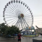  ,   , 36 ,   ,   
