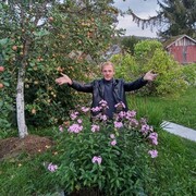 ���������� ������� ��������, ���� ������� ������, 47 ���, ������������ ��� ������, ����� � ���������