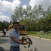  ,   Aziz, 36 ,   ,   , c 